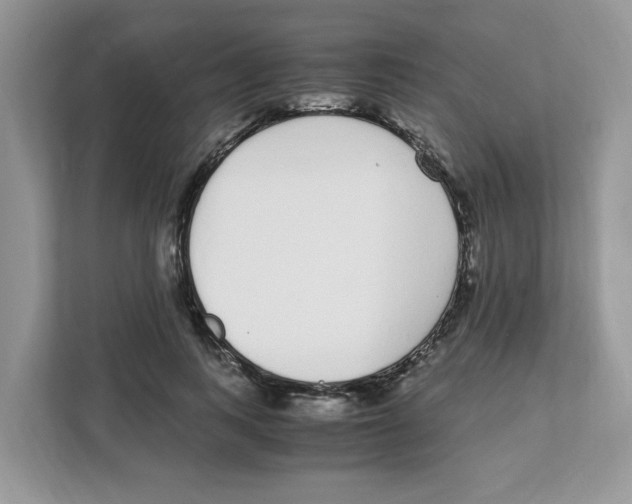 X0000108480743200905011201