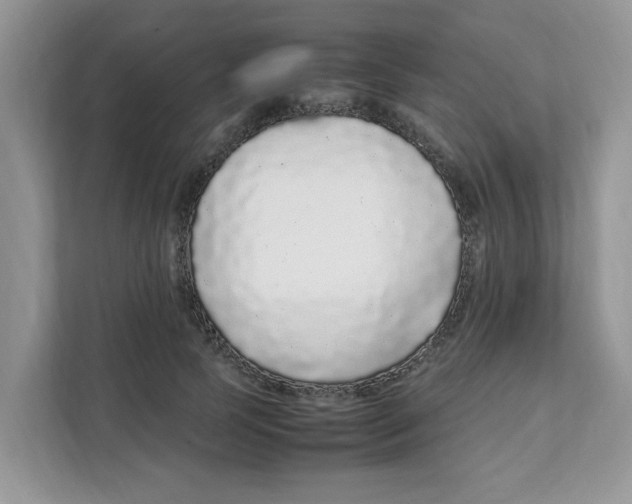 X0000108480745200905011201