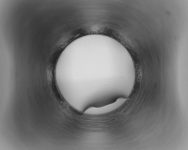 X0000108480746200905011201