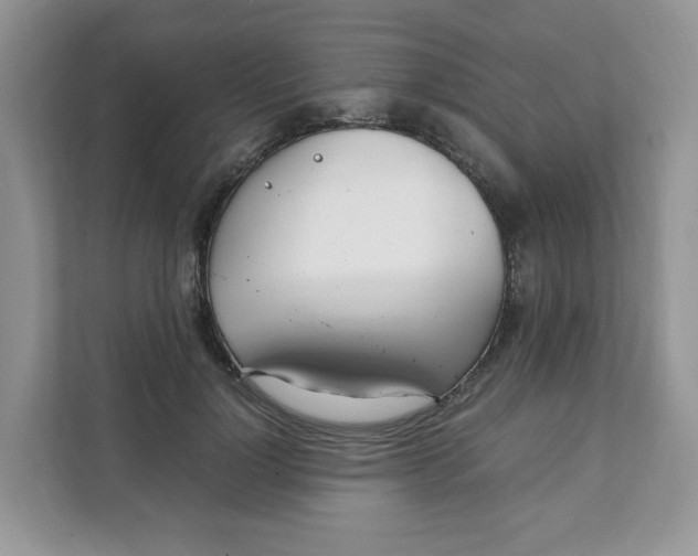 X0000108480748200905011201