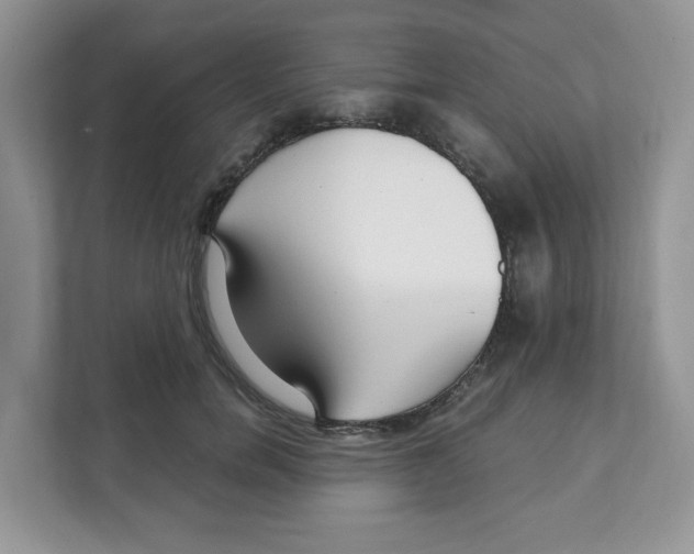 X0000108480750200905011201