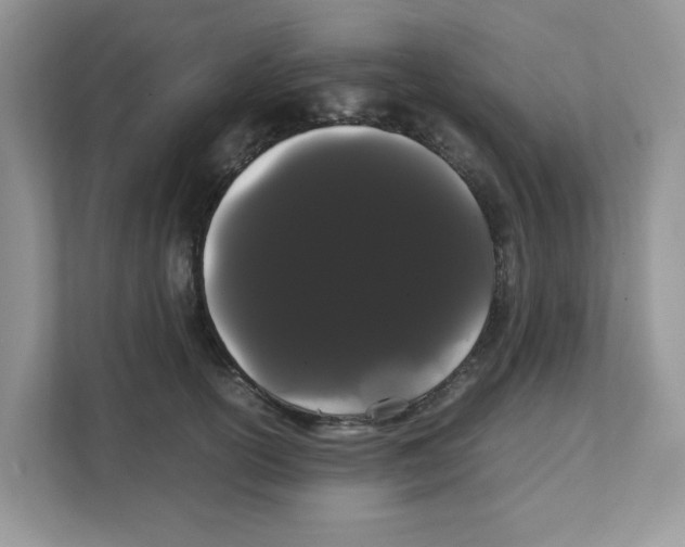 X0000108480754200905011201