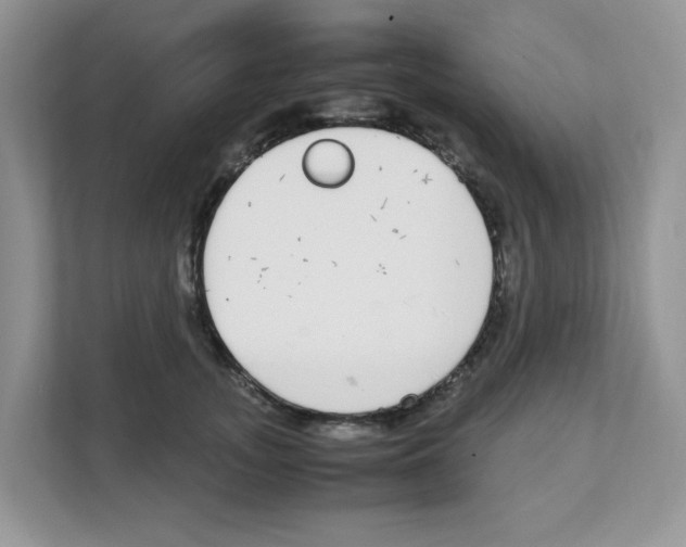 X0000108480755200905011201
