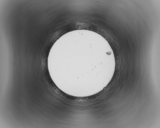 X0000108480756200905011201
