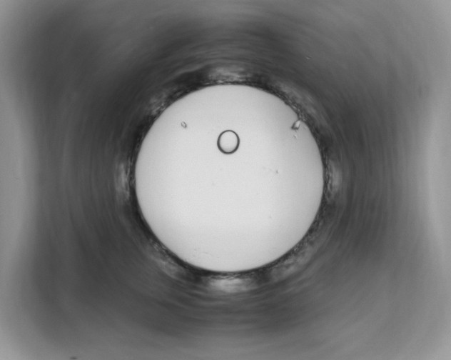 X0000108480759200905011201