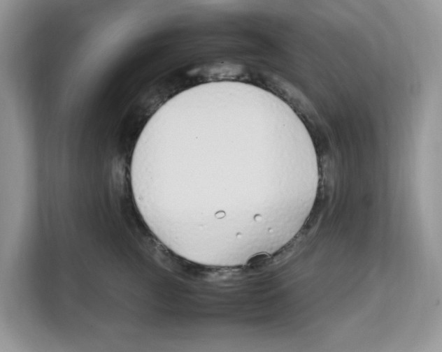 X0000108480761200905011201