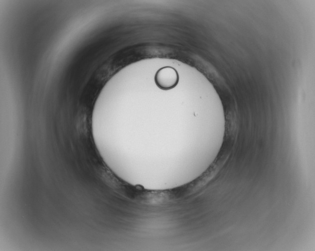 X0000108480762200905011201