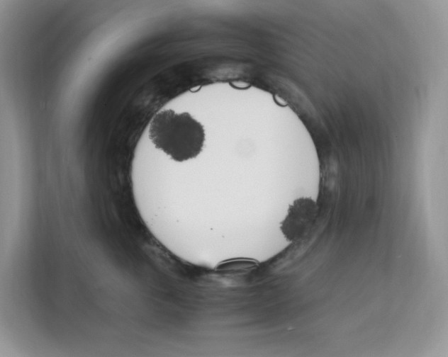 X0000108480763200905011201