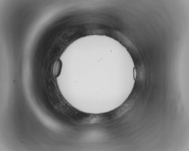 X0000108480764200905011201
