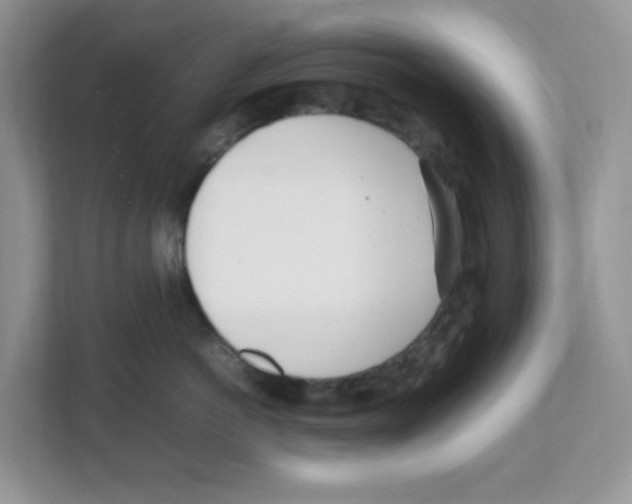 X0000108480766200905011202