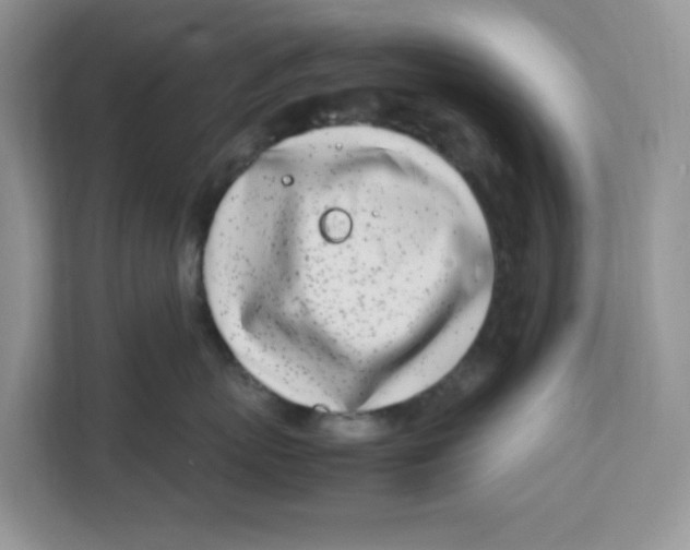 X0000108480767200905011202