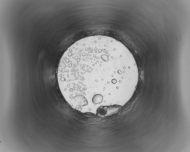 X0000108480771200905011201