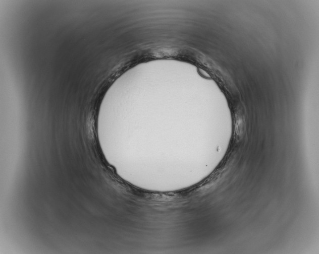 X0000108480772200905011201