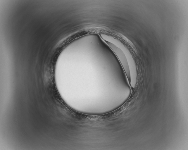 X0000108480775200905011201