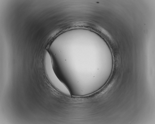 X0000108480777200905011201