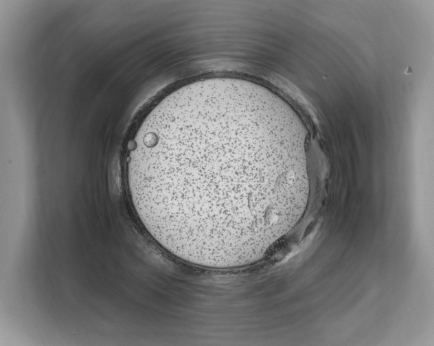 X0000108480782200905011201