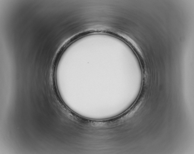 X0000108480783200905011201