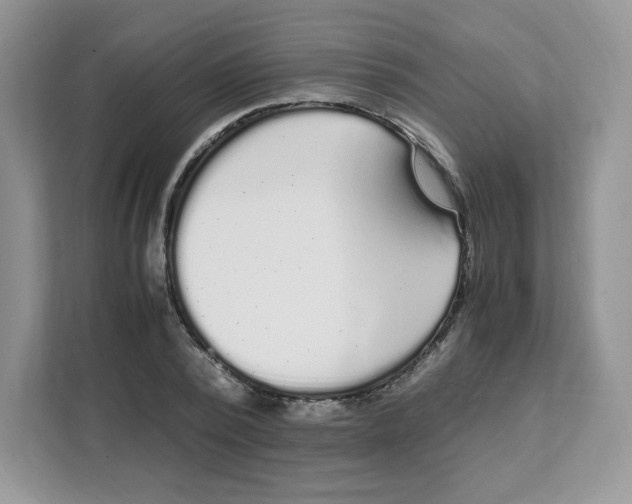 X0000108480784200905011201