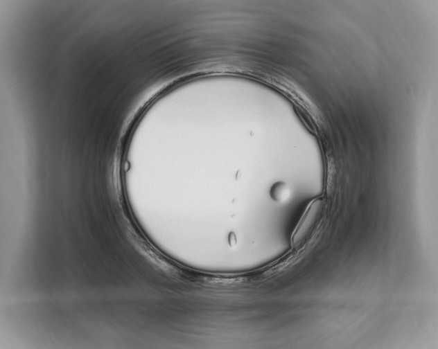 X0000108480788200905011201