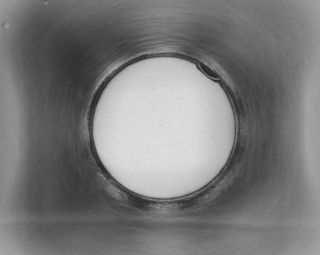 X0000108480789200905011201