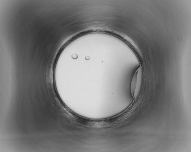 X0000108480791200905011201