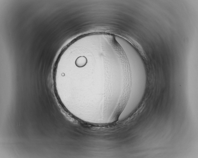 X0000108480792200905011201
