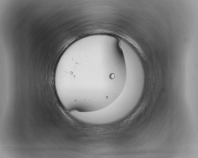 X0000108480793200905011201
