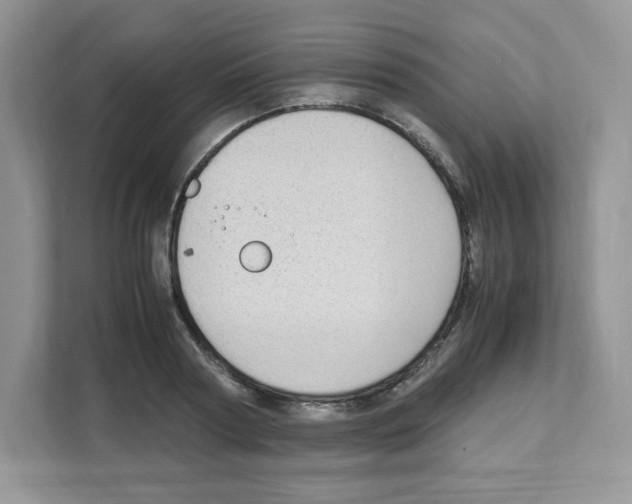 X0000108480794200905011201