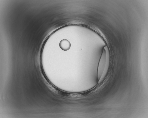 X0000108480795200905011201