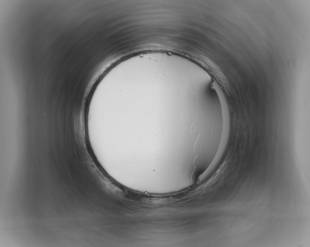 X0000108480796200905011201