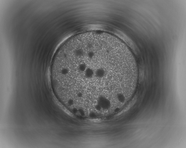 X0000108480798200905011200