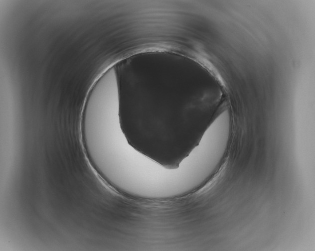 X0000108480802200905011200