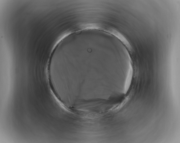 X0000108480806200905011200