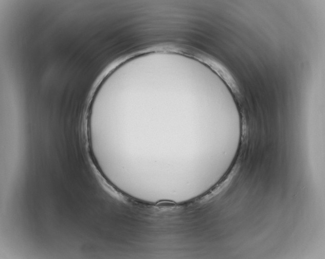 X0000108480808200905011200
