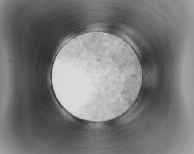 X0000108480810200905011200