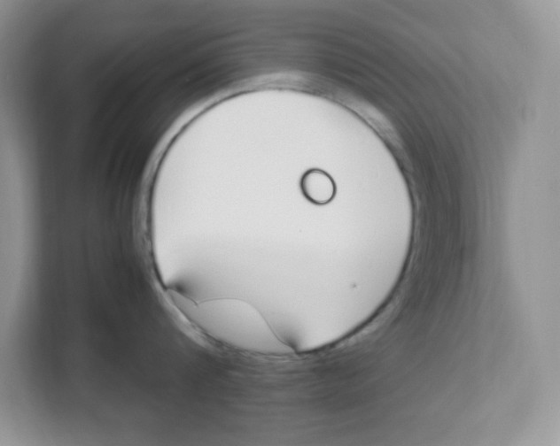 X0000108480816200905011200