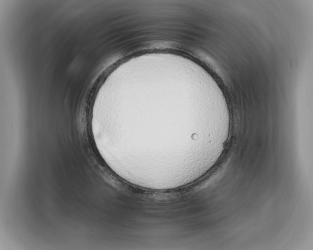 X0000108480827200905011200
