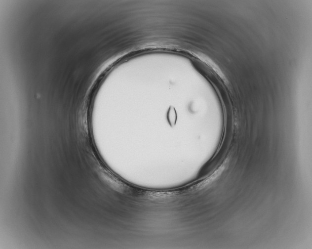X0000108480830200905011200