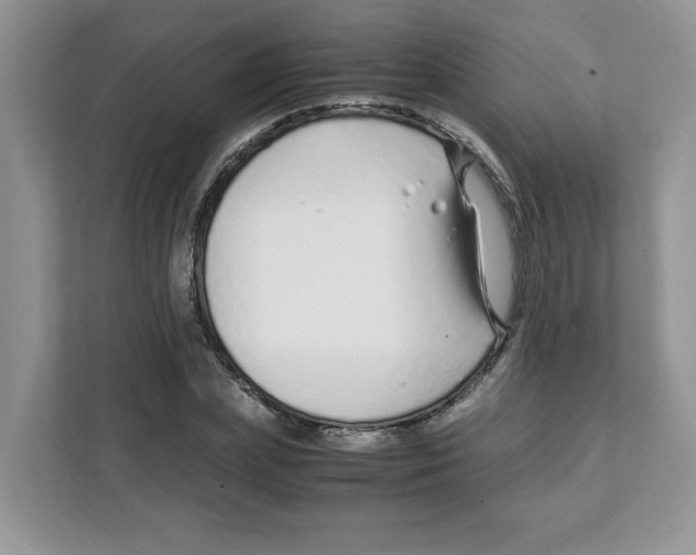 X0000108480831200905011200