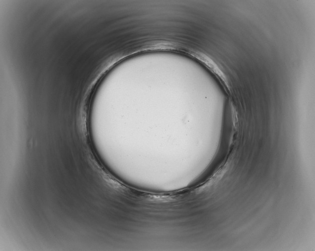 X0000108480835200905011200