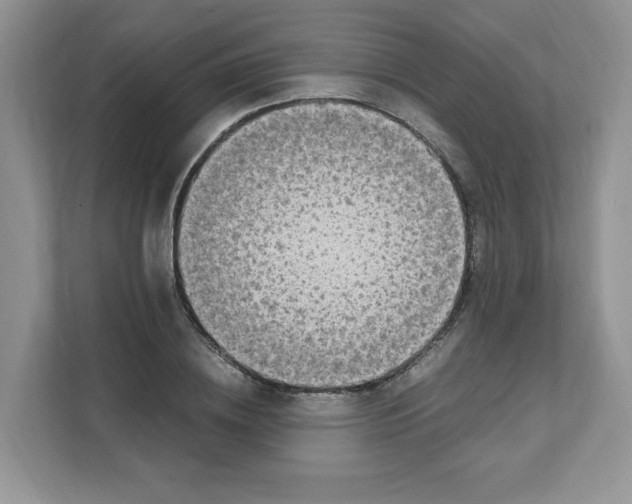X0000108480836200905011200