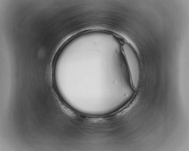 X0000108480837200905011200