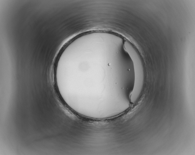 X0000108480838200905011200