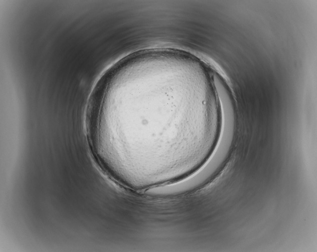 X0000108480839200905011200