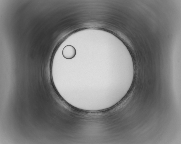 X0000108480840200905011200