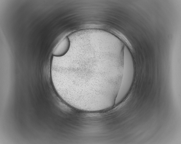 X0000108480844200905011200