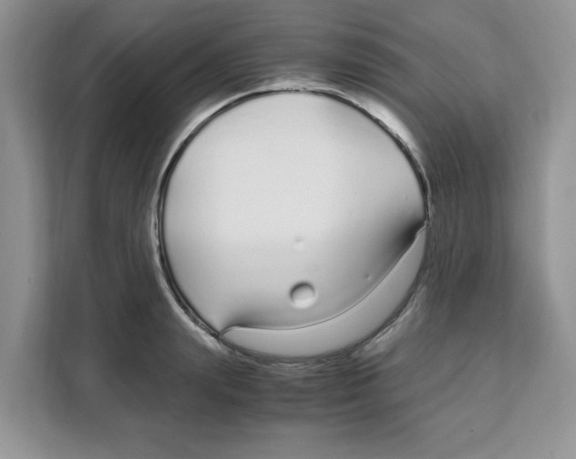 X0000108480847200905011200