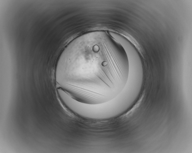 X0000108480849200905011200