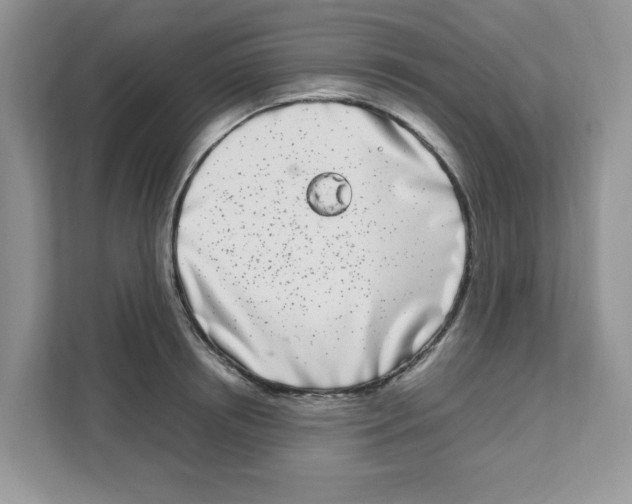 X0000108480850200905011200