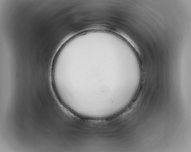 X0000108480853200905011200